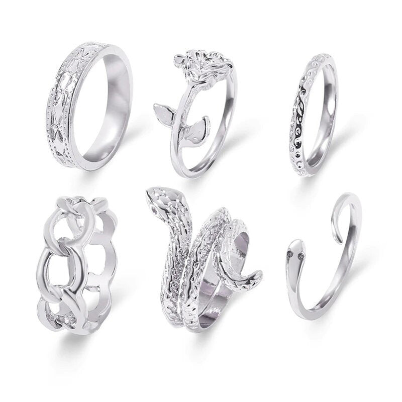 Silver Plated Snake inspired Contemporary Chain Rings Set of 6 For Women